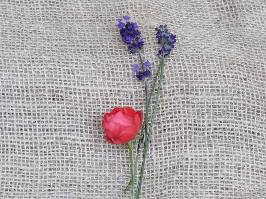 Eine Rose und lavendel auf einem sackleinen - Symbolbild für Bio Kosmetik Marken und Naturkosmetik bei FAIRKLEIDET